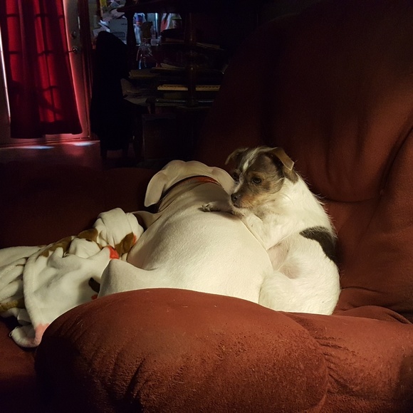 Meet your Posher, Adam - Picture 1 of 1